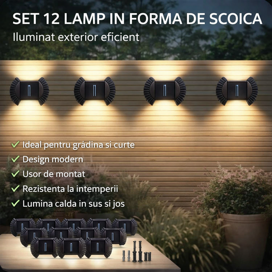 SET 12 LAMPI SCOICA